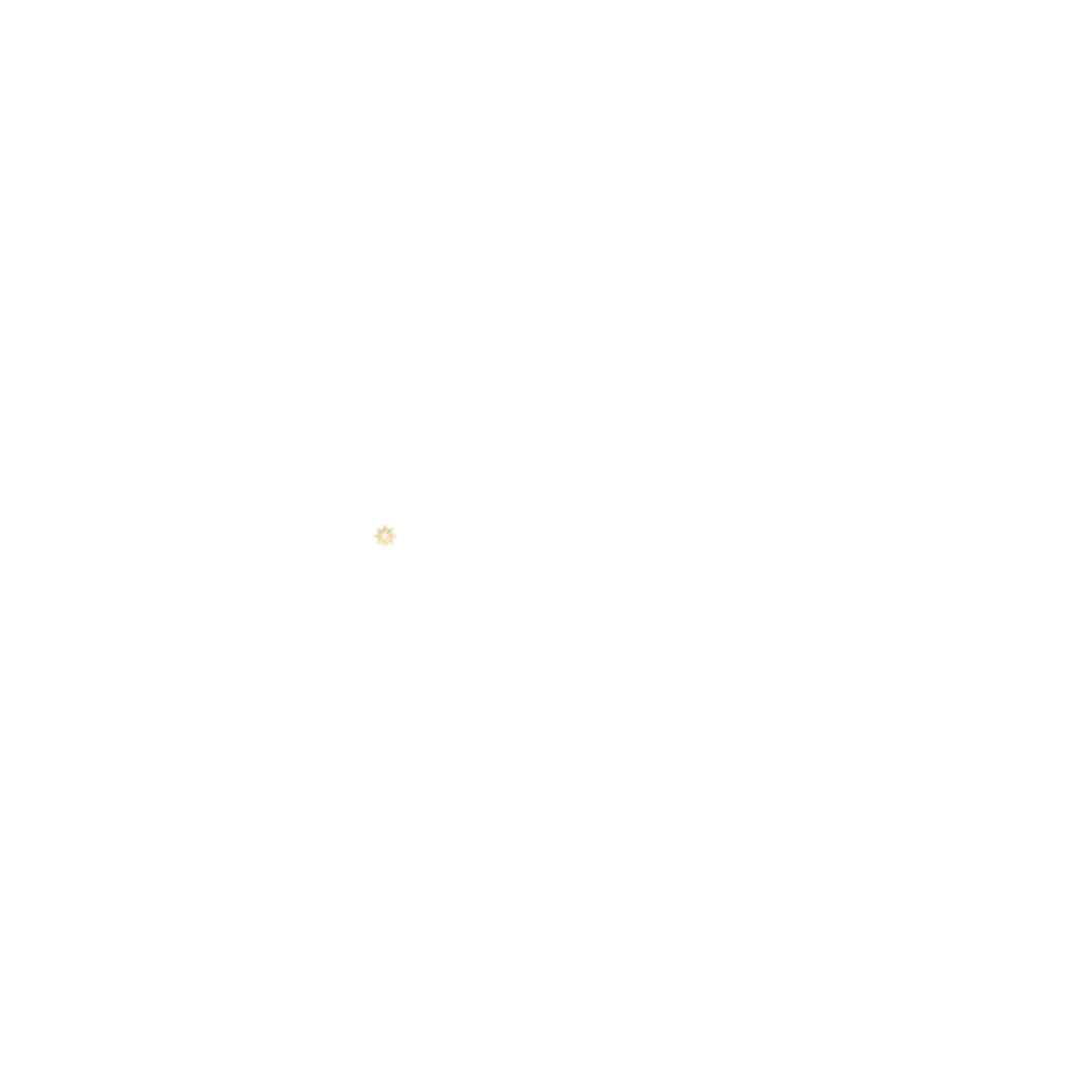 Gif CRM how it works