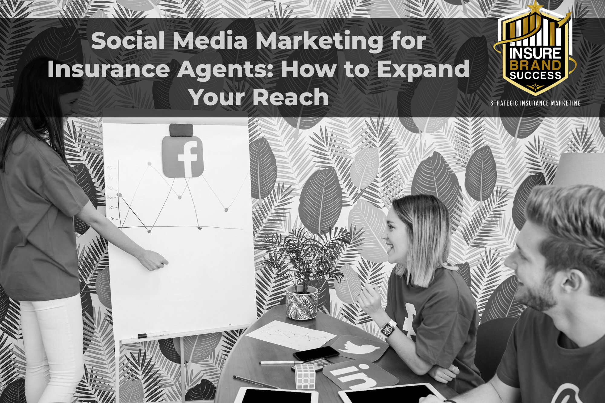 Insurance SEO Services