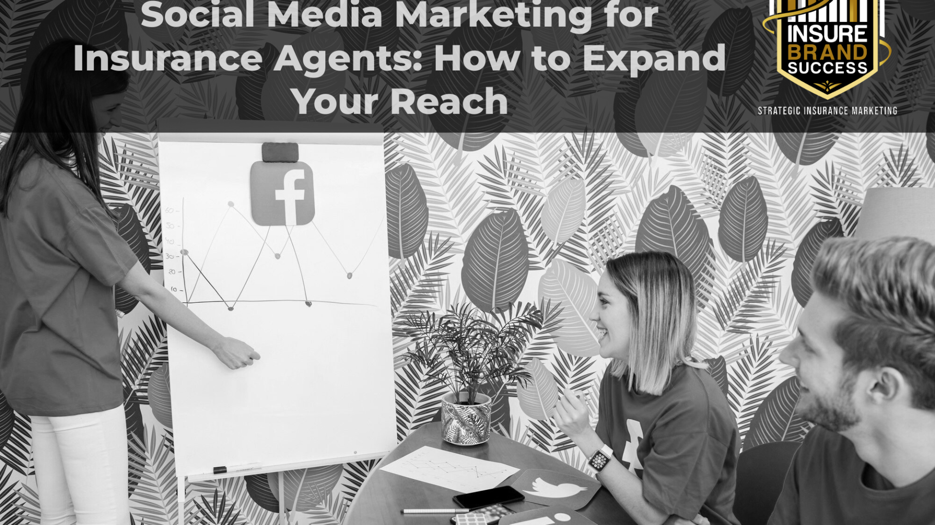 Insurance SEO Services